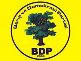 BDP'nin 'Kutlu Doğum' programı